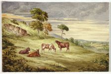 Deer Park, possibly Kilkenny, 1843. Creator: Elizabeth Murray