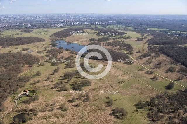 Deer park, Richmond Park, Richmond upon Thames, London, 2018. Creator: Historic England Staff Photographer.