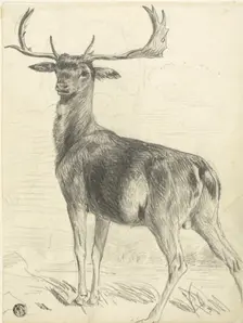 Deer (recto), n.d. Creator: Edwin Henry Landseer