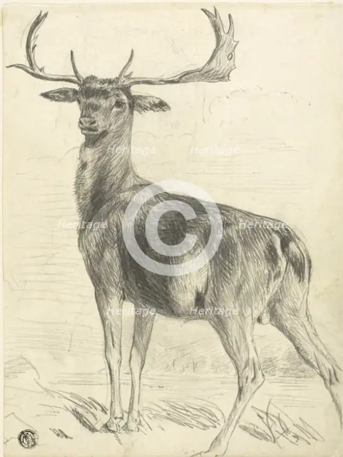 Deer (recto), n.d. Creator: Edwin Henry Landseer.