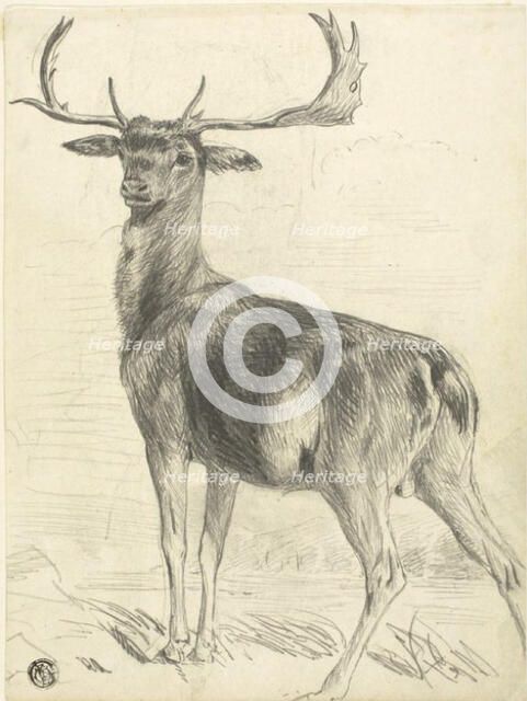 Deer (recto), n.d. Creator: Edwin Henry Landseer.