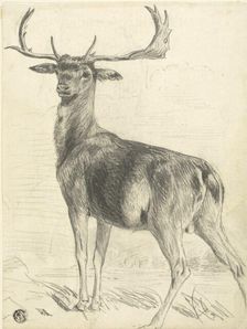 Deer (recto), n.d. Creator: Edwin Henry Landseer
