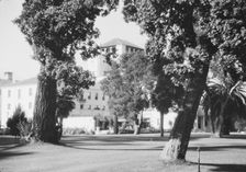 Del Monte, California views, 1927 Creator: Arnold Genthe