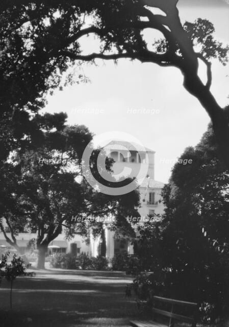 Del Monte, California views, 1927 Creator: Arnold Genthe.