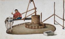 Delhi: a woman making a cow work the oil mill, (between 1800 and 1899?). Creator: Unknown
