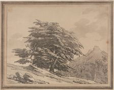 Delineations of the General Character Ramifications and Foliage of Forest Trees: Cedar, 1789. Creator: John Robert Cozens (British, 1752-1797)