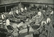 Delivery Vans Starting from Messrs, Freeth and Pocock's Central Depot at Vauxhall 1902. Creator: Unknown