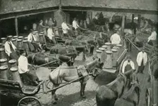 Delivery Vans Starting from Messrs, Freeth and Pocock's Central Depot at Vauxhall 1902. Creator: Unknown
