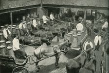 Delivery Vans Starting from Messrs, Freeth and Pocock's Central Depot at Vauxhall 1902. Creator: Unknown