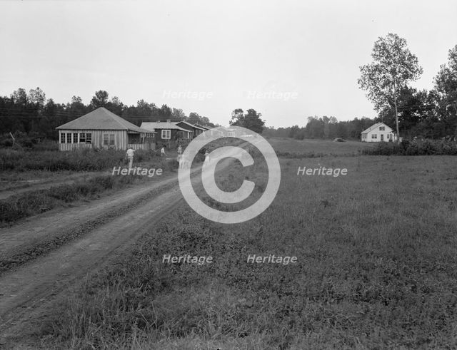 Delta cooperative farms in 1938, Hillhouse, Mississippi, 1938. Creator: Dorothea Lange.