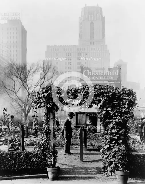 Demonstration garden, Bryant Park, 42nd Street and Fifth Avenue, New York, New York, 1918. Creator: Frances Benjamin Johnston.