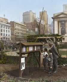 Demonstration garden, Bryant Park, 42nd Street and Fifth Avenue, New York, New York., 1918. Creator: Frances Benjamin Johnston
