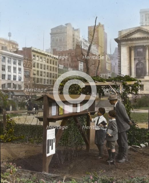 Demonstration garden, Bryant Park, 42nd Street and Fifth Avenue, New York, New York., 1918. Creator: Frances Benjamin Johnston.