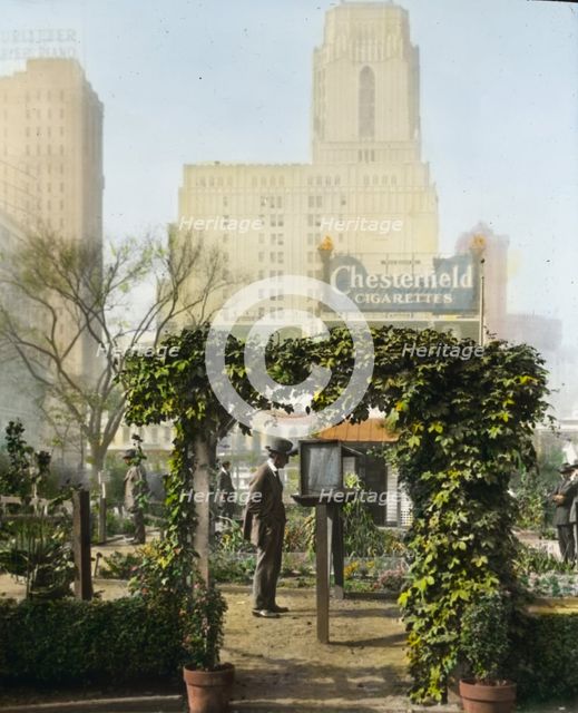 Demonstration garden, Bryant Park, 42nd Street and Fifth Avenue, New York, New York, 1918. Creator: Frances Benjamin Johnston.