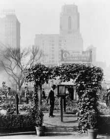 Demonstration garden, Bryant Park, 42nd Street and Fifth Avenue, New York, New York, 1918. Creator: Frances Benjamin Johnston