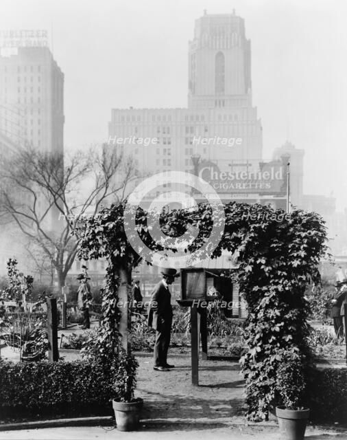 Demonstration garden, Bryant Park, 42nd Street and Fifth Avenue, New York, New York, 1918. Creator: Frances Benjamin Johnston.
