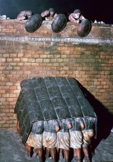 Demonstration of a Testudo