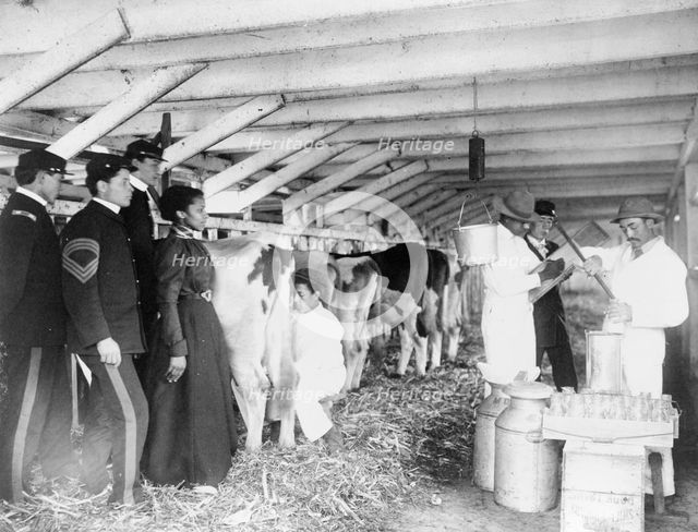 Demonstration of milk testing in stable, at Hampton Institute, Hampton, Virginia, 1899 and 1900. Creator: Frances Benjamin Johnston.