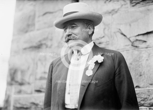 Democratic National Convention - Judge Alton B. Parker of NY, President, American Bar..., 1912. Creator: Harris & Ewing.