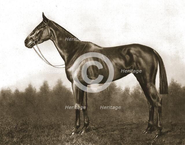 Demure, 1911.  Creator: Unknown.