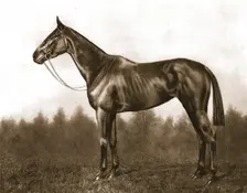 Demure, 1911. Creator: Unknown