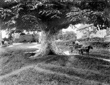 Denton, Oxfordshire, c1860-c1922. Artist: Henry Taunt