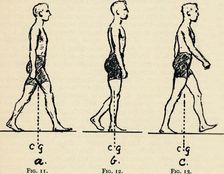 Depicting Main Principles of Locomotion, 1940