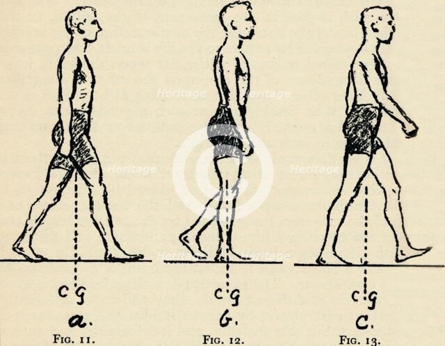 Depicting Main Principles of Locomotion, 1940. Artist: Unknown