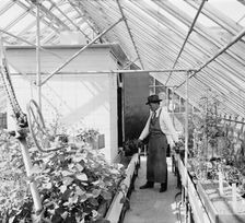 Dept. of Agriculture, between 1910 and 1920. Creator: Harris & Ewing