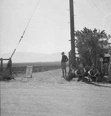 Deputized "vigilantes" armed with clubs guard entrance..., Salinas Valley, California, 1939. Creator: Dorothea Lange