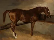 Dervish In His Stall, c1820. Creator: Theodore Gericault