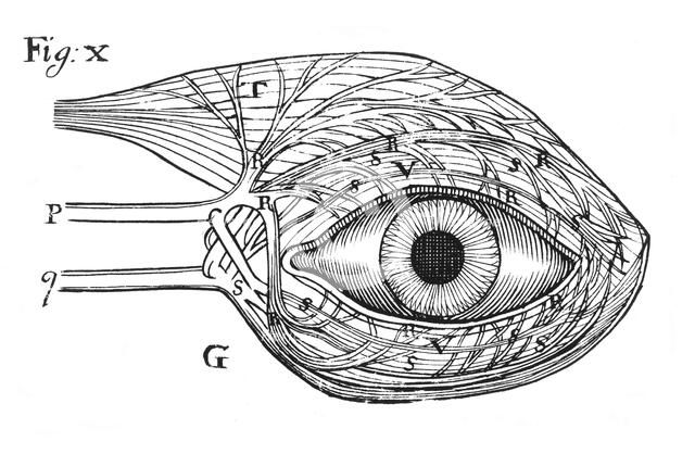Descartes' idea of the 'hydraulic' action of the nerves, 1692. Artist: Unknown
