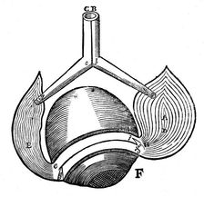 Descartes representation of the antagonistic eye muscles, 1692