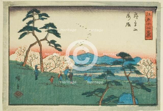 Descending Geese at Asuka Hill (Asukayama rakugan), from the series "Twelve...", c. 1847/52. Creator: Ando Hiroshige.