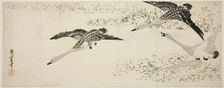 Descending Geese, c. 1830. Creator: Ando Hiroshige