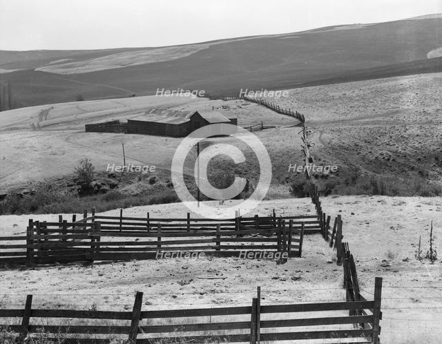 Desert stock farm, south central Washington, in region where much land has been overgrazed, 1939. Creator: Dorothea Lange.