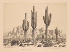 Desert Sentinels, Apache Trail, Arizona, c. 1930. Creator: George Elbert Burr