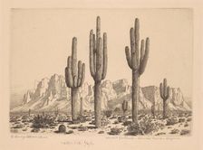 Desert Sentinels, Apache Trail, Arizona, c. 1930. Creator: George Elbert Burr