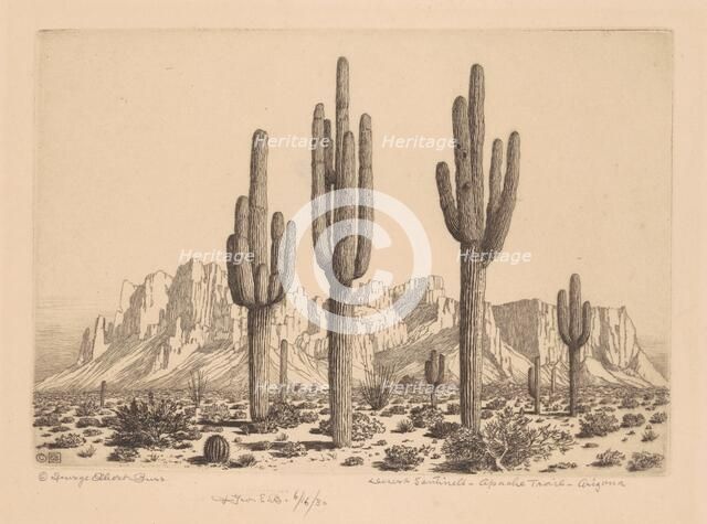 Desert Sentinels, Apache Trail, Arizona, c. 1930. Creator: George Elbert Burr.