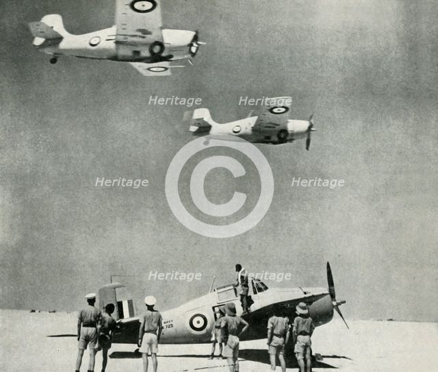 'Desert Squadron' - planes of the Fleet Air Arm during the Second World War, c1943. Creator: Unknown.