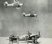 Desert Squadron - planes of the Fleet Air Arm during the Second World War, c1943. Creator: Unknown