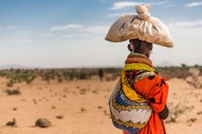 Desert View. Creator: Dorte Verner