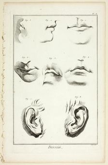 Design: Facial Anatomy from Encyclopédie, 1762/77. Creator: A. J. Defehrt