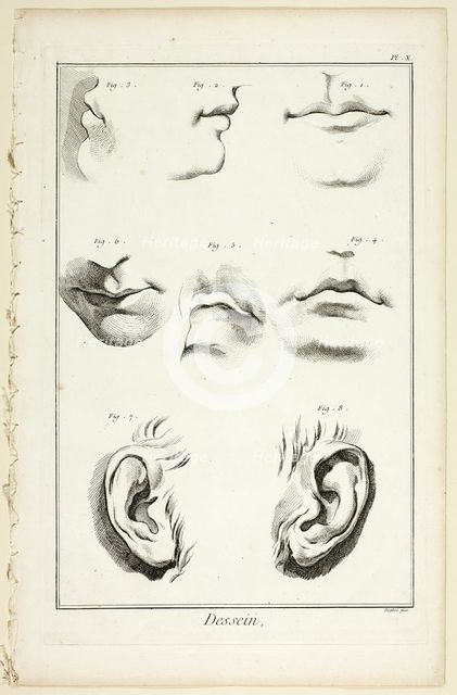 Design: Facial Anatomy from Encyclopédie, 1762/77. Creator: A. J. Defehrt.