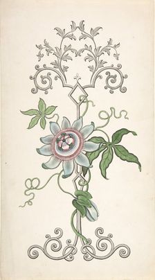 Design for Panel Decoration Centered on a Passion Flower, 1828-40. Creator: J Hulme
