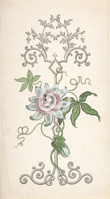 Design for Panel Decoration Centered on a Passion Flower, 1828-40. Creator: J Hulme.