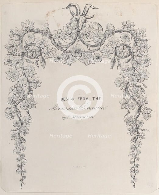 Design from the Momordica Charantia by P. Moorgesan, 19th century., 19th century. Creator: Anon.