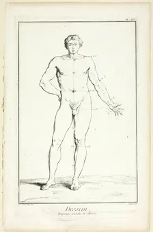 Design: General Proportions of the Male, from Encyclopédie, 1762/77. Creator: A. J. Defehrt