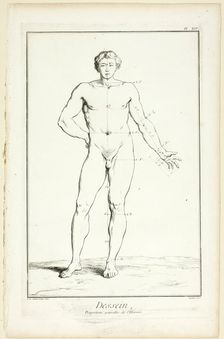 Design: General Proportions of the Male, from Encyclopédie, 1762/77. Creator: A. J. Defehrt