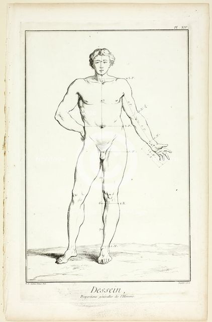 Design: General Proportions of the Male, from Encyclopédie, 1762/77. Creator: A. J. Defehrt.